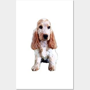 Cocker Spaniel Orange Roan Puppy English Cocker Posters and Art